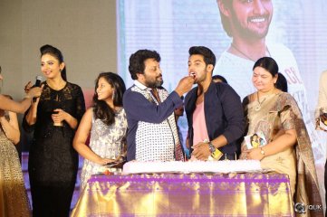 Garam Movie Audio Launch